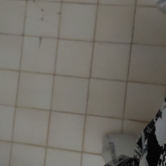 Short sleeve cotton top with white lace Cummings - Picture 1 of 1